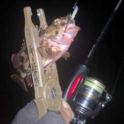 アジング 練習 117