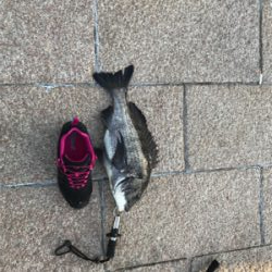 丘はポカポカ、水中はシブシブ