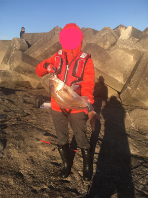 田辺市の磯で鯛「初投稿！」徐々に道具も良いの使いたいですね^_^