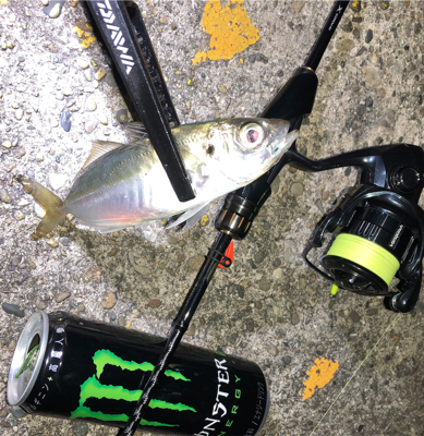 フロートアジング釣行☆GUNNING-ST…