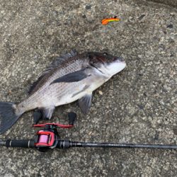 外道で大物ゲスト