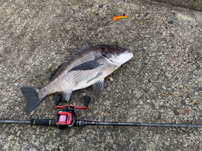 外道で大物ゲスト