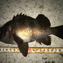 2020ライトゲーム第7戦