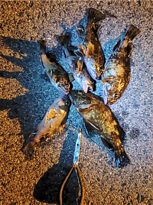 厳しくなってきましたねぇ