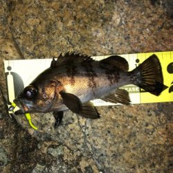 フロートゲーム☆GUNNING-STYLE