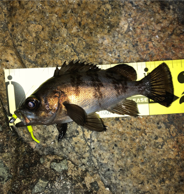 フロートゲーム☆GUNNING-STYLE…