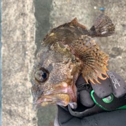 雨降らんってゆうてたやん！