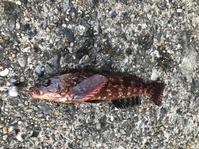 大荒れ三春町岸壁