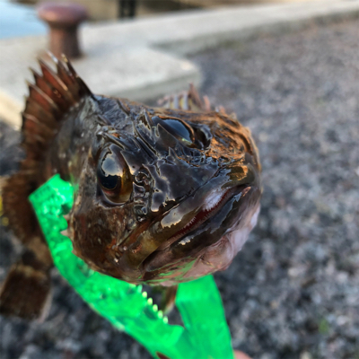 やっとこさデス