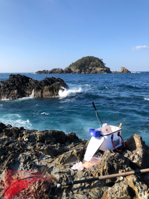 磯でグレ釣り