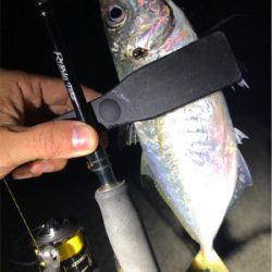 キャロアジング！