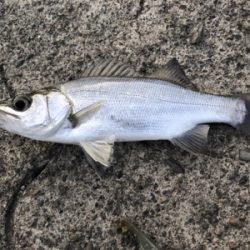 和歌山遠征1日目‼️