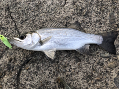 和歌山遠征1日目‼þ…