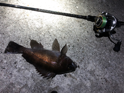 リベンジメバリング