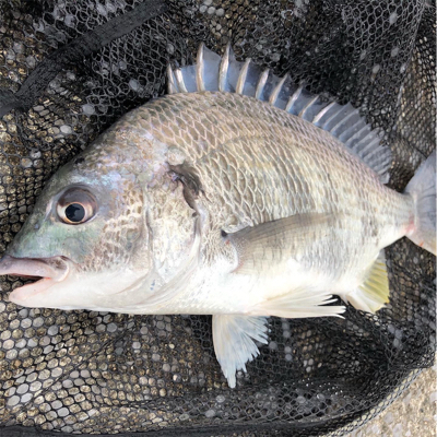 ランガンスタイル