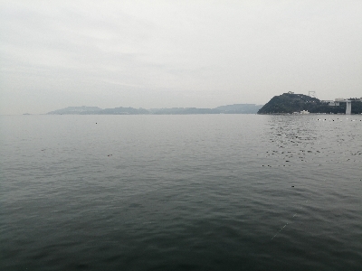 サビキ釣果のみ!