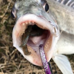 怒涛の3連チャン