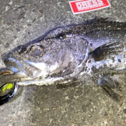 リフトアンドフォール!