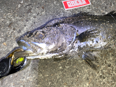 リフトアンドフォール！