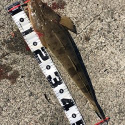 和歌山遠征2日目‼️