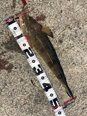 和歌山遠征2日目‼þ…