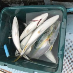 明石沖でジギング