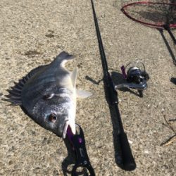 ダブルキャッチ