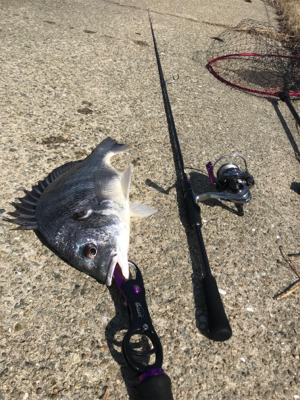 ダブルキャッチ