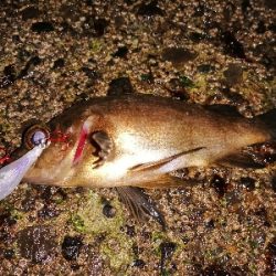 トゥイッチ強し