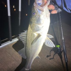 一瞬の入れがかり