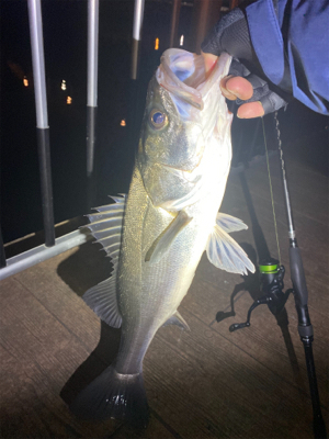 一瞬の入れがかり