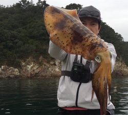 つりぴぃぽぉ釣果