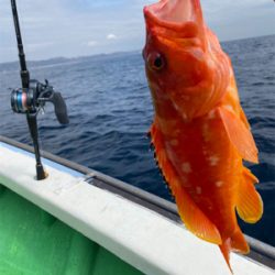 初めてのタイラバ