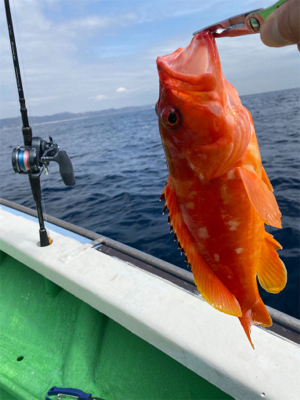 初めてのタイラバ