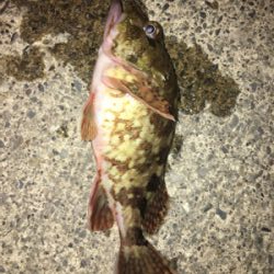 ナイト　ライトゲーム