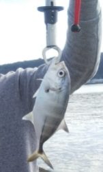 やっと今年初釣行