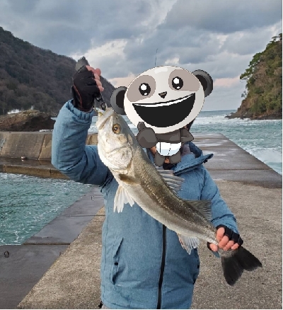 シーバスGETだぜ!