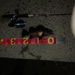 今日は超！渋かった！