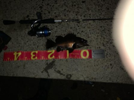 今日は超！渋かった！