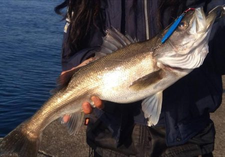 ライトショアジギング