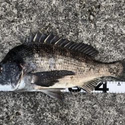 イチノ兄弟、釣果！