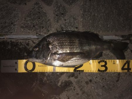 ばらしまっせ！素バリまっせ！