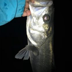 なんとか釣れた〜