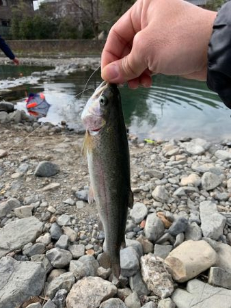 芥川管理釣り場