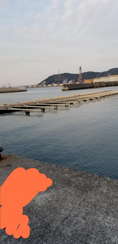 アジング　初島漁港