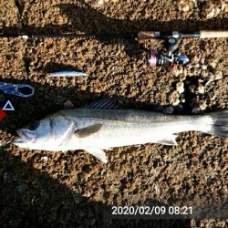 寒~い中、何とか一尾!