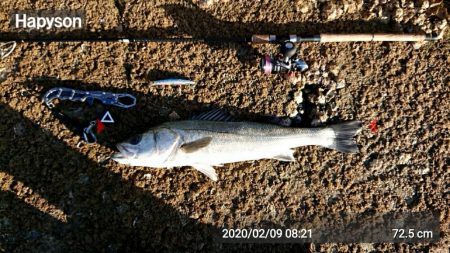 寒~い中、何とか一尾!