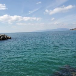 久々の青物ゲット!