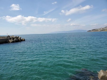 久々の青物ゲット!