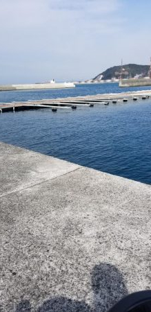 初島　アジング